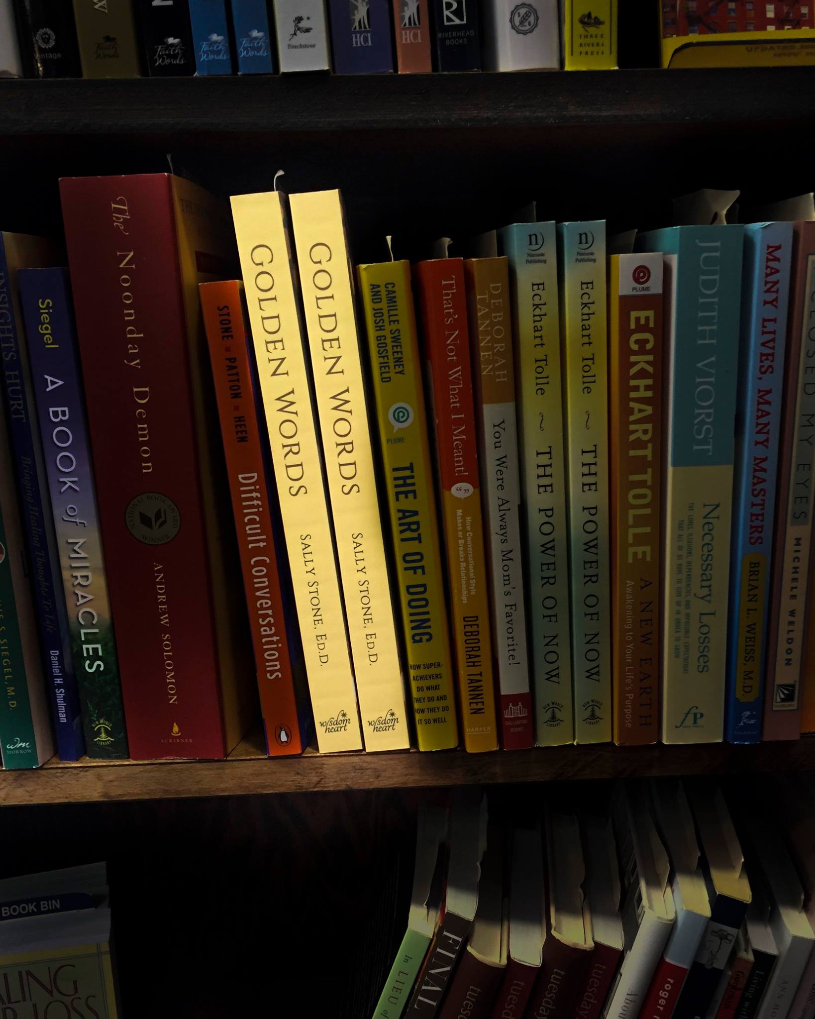 Golden-Words-Books-Book-Bin-Shelves