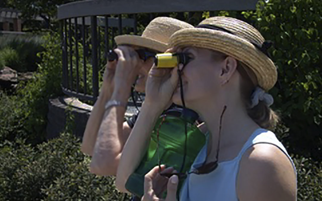 Mom Sally Birdwatching DSC07651