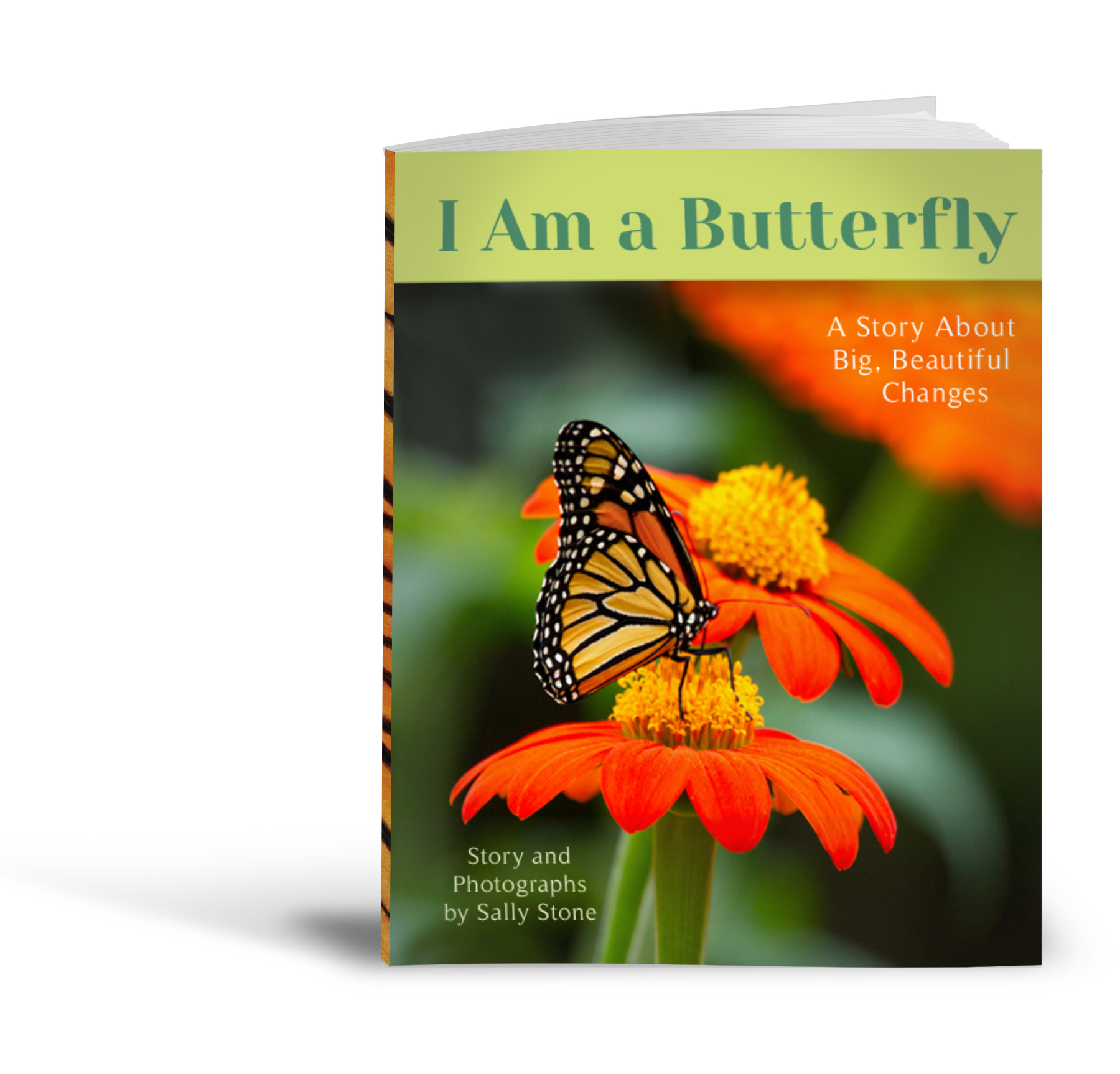I-Am-a-Butterfly:-A-Story-About-Big-Beautiful-Changes-children's-book